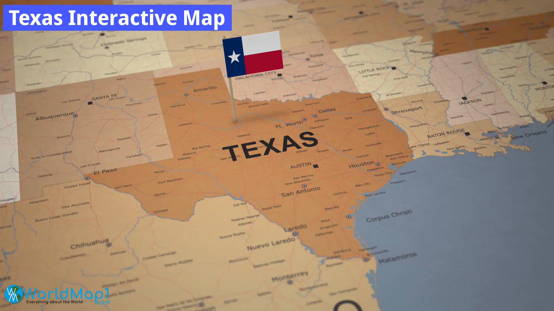 Texas Interactive Map